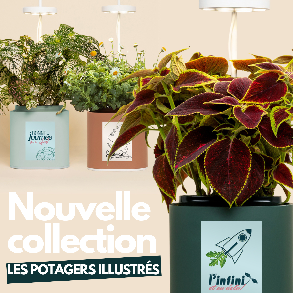 Potager Nano l&#39;artiste Vert Forêt Prêt à Pousser 🇫🇷 Potager d&#39;intérieur