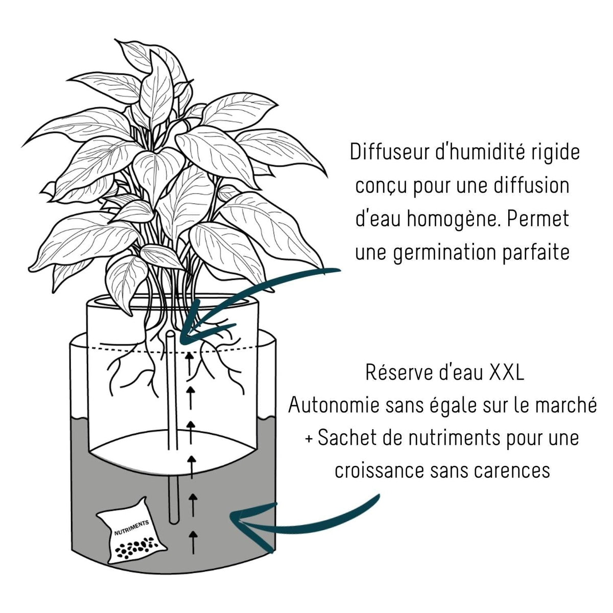 ALDO - ma jardinière flottante - Blanc Potagers Prêt à Pousser 🇫🇷 Potager d&#39;intérieur